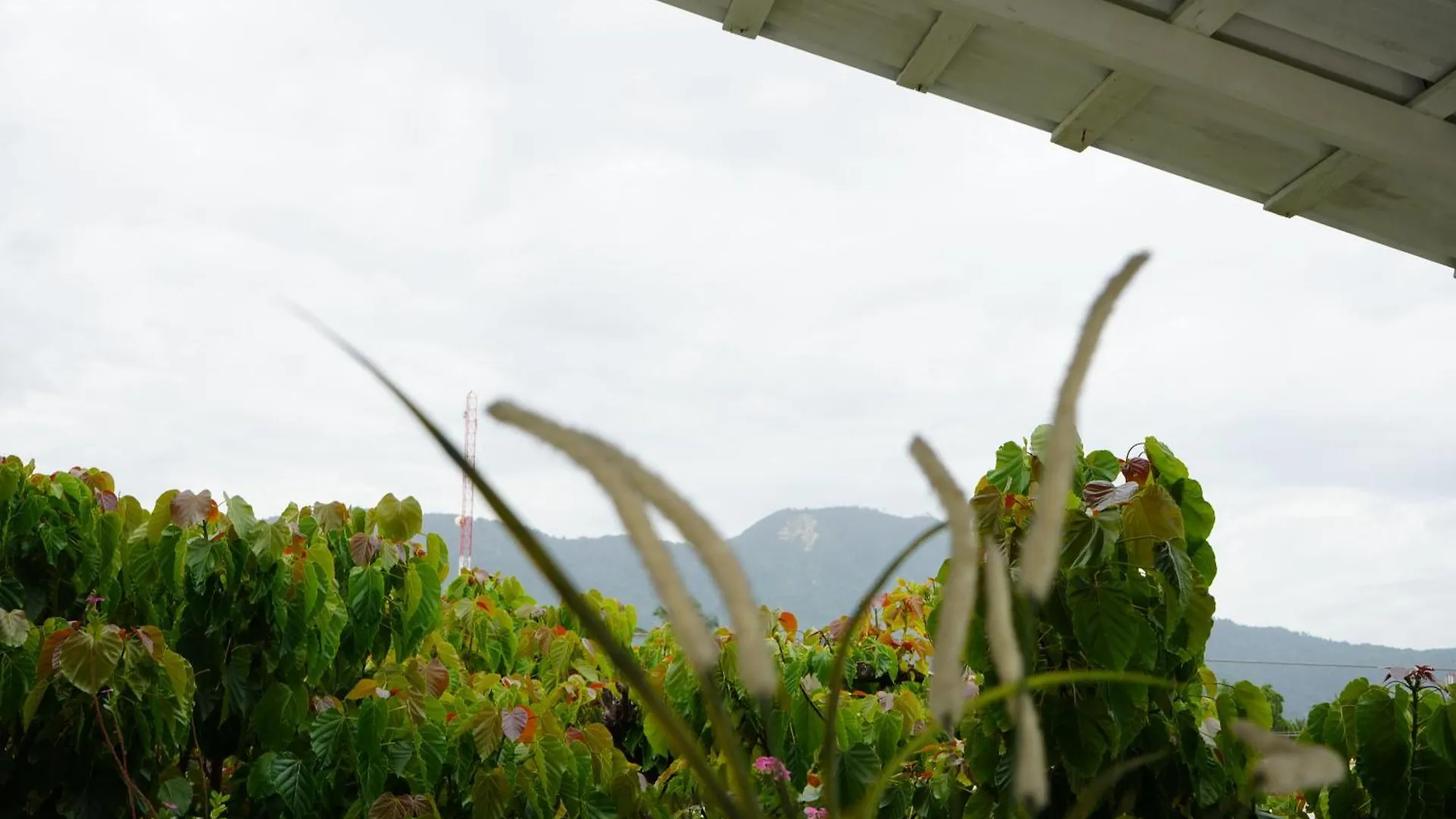 203 Suenos Caribenos En Don Juan Aparthotel Puerto Plata 0*,  Dominicaanse Republiek